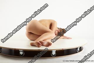 Various reference of Irma